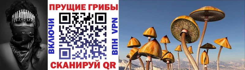 Галлюциногенные грибы GOLDEN TEACHER Лабытнанги