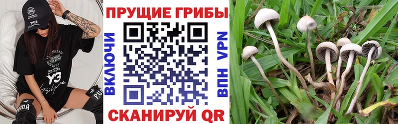 купить наркоту  Лабытнанги  Галлюциногенные грибы GOLDEN TEACHER 